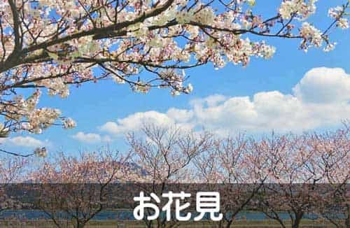 岡山・倉敷・香川で配達弁当・給食弁当なら三和食品のお花見の画像